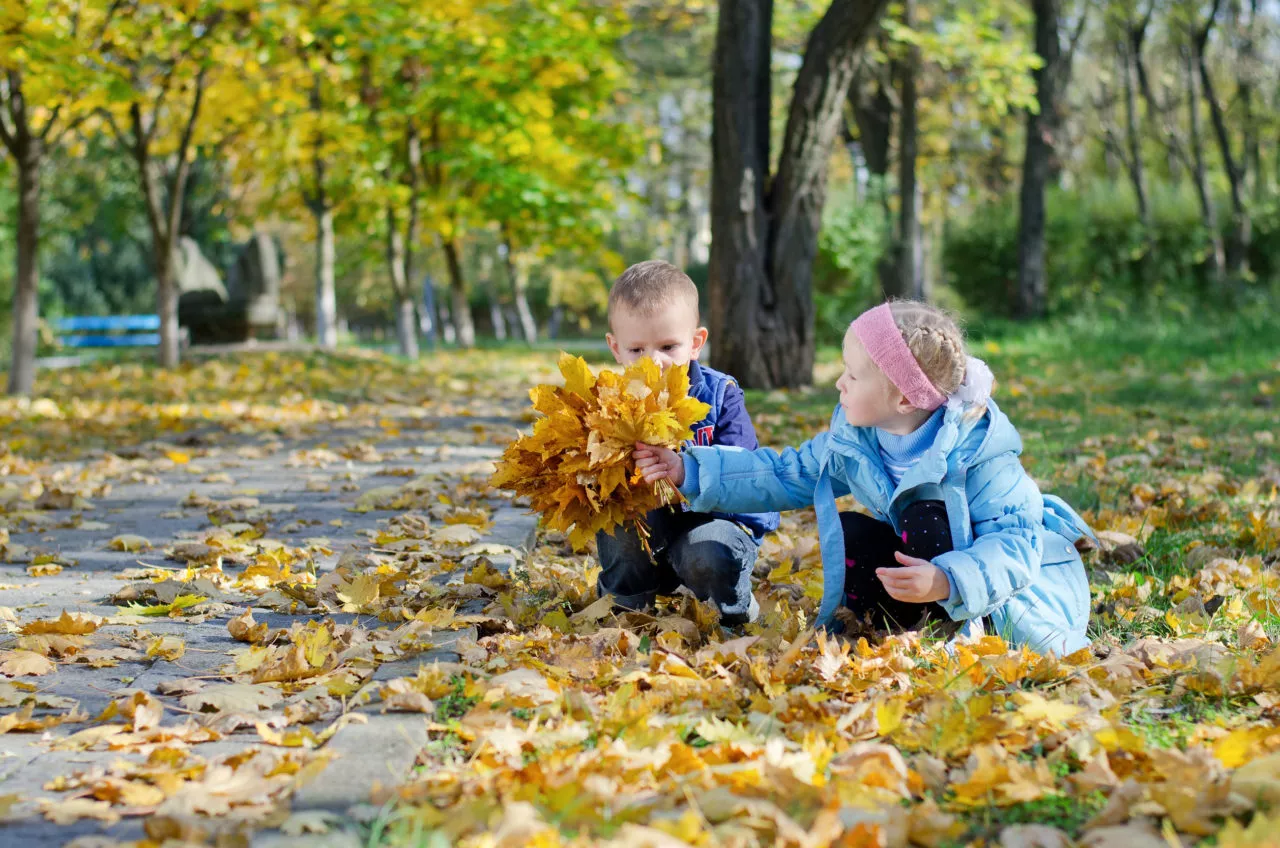 Nature walk activities for kids, Little girl kneeling on the ground amongst fallen leaves showing 