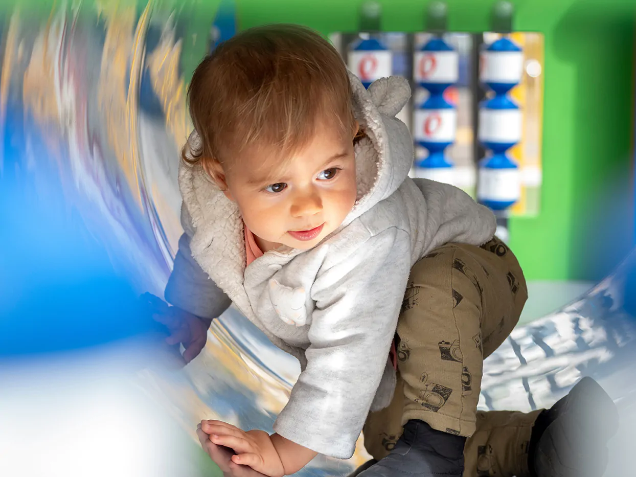 mccaedu image