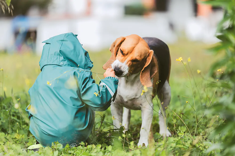child with his dog
