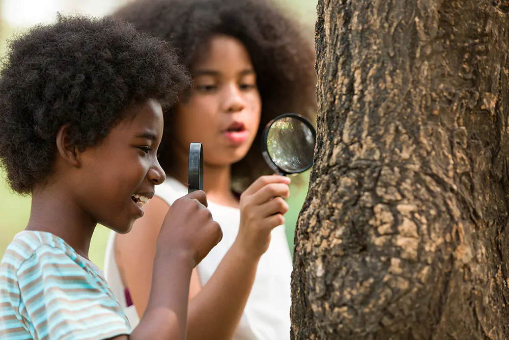 kids exploring the Outdoors