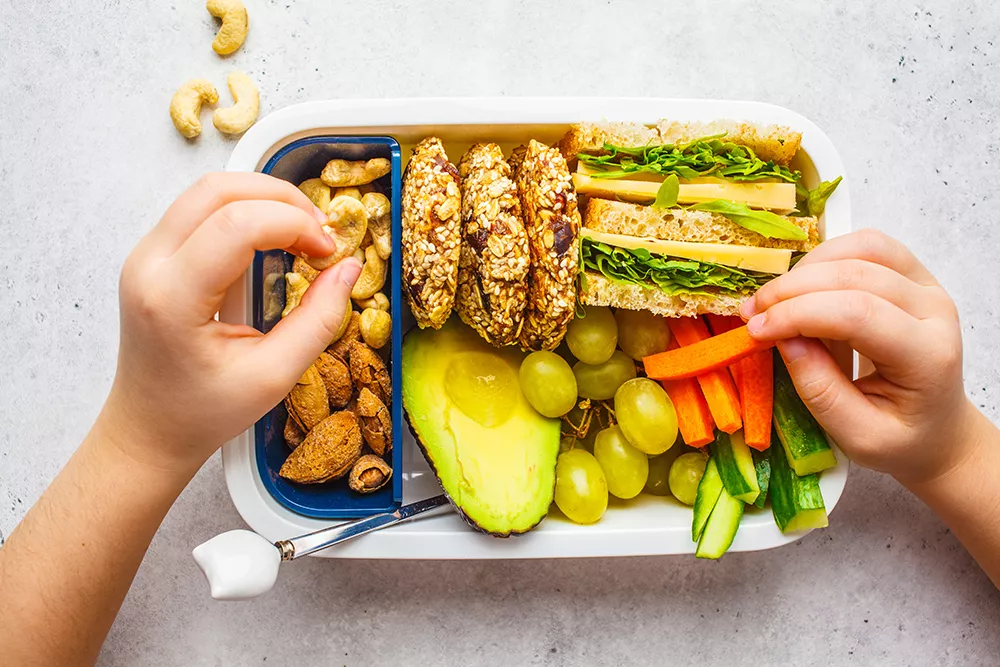 School healthy lunch box with sandwich, cookies, nuts, fruits and avocado on a white background.