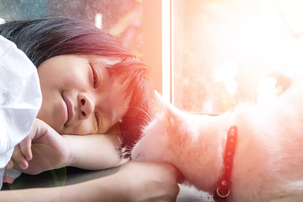 girl playing with cat.