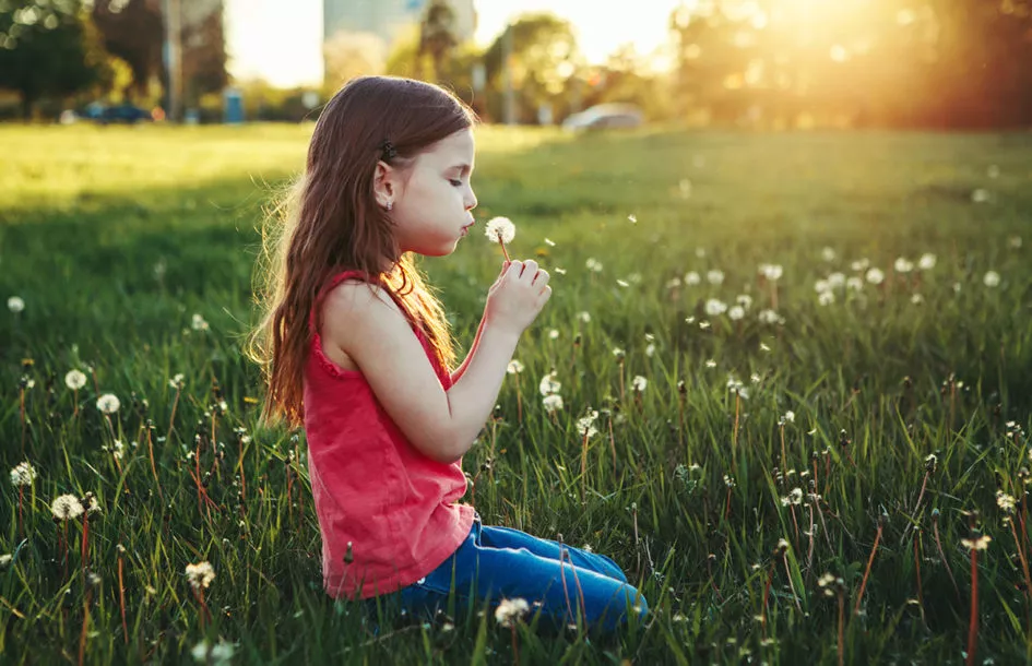 Little girl blowing dandelions and sitting in grass.