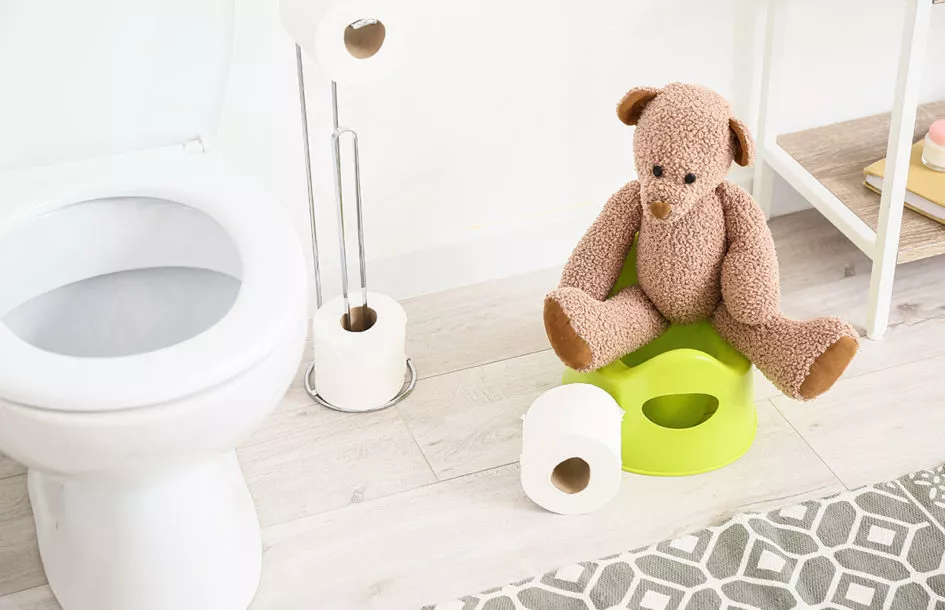 Toilet bowl, holder with paper rolls and cute toy bear sitting on potty near white wall