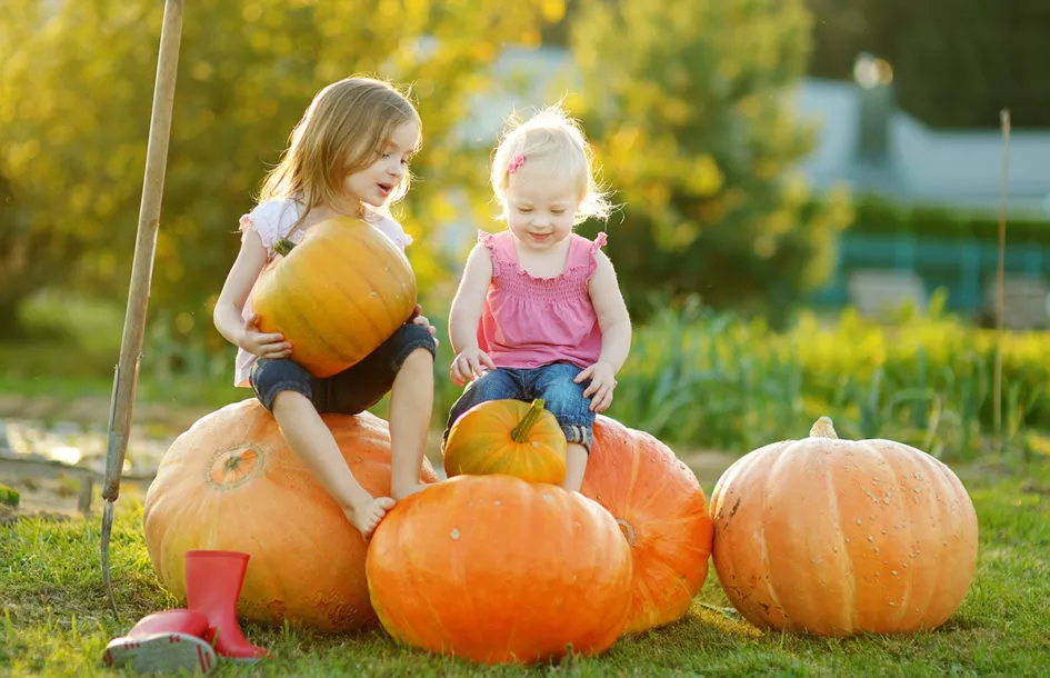 Two little sisters sitting on huge pumpkins on a pumpkin patch.