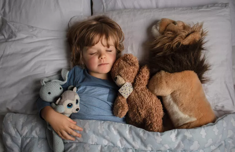 Young boy sleeping with his stuffed animals in his bed.