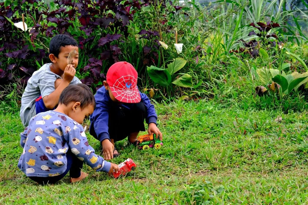 Three young children appear to be playing with toy vehicles in a grassy outdoor area with lush green plants and some purple foliage in the background.