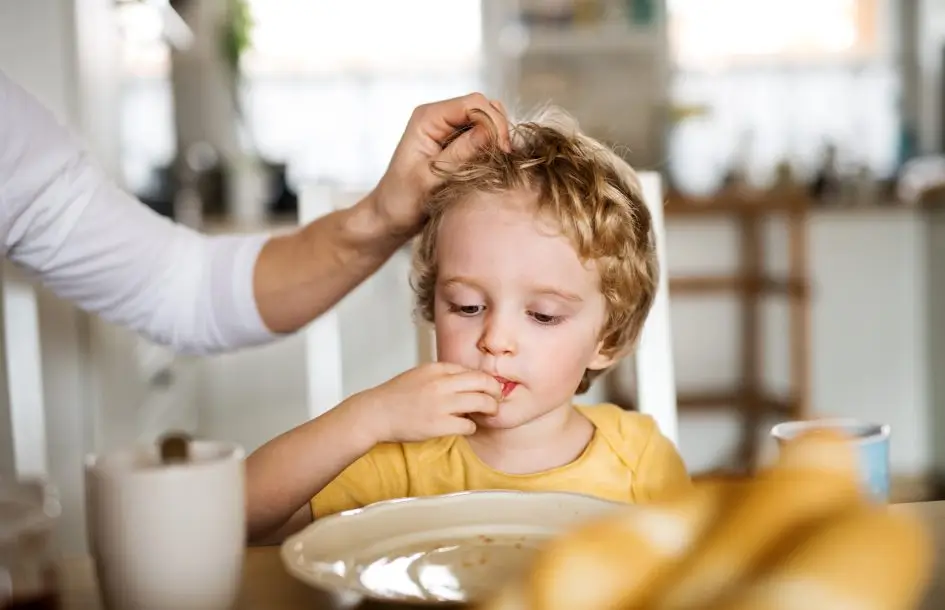 toddler boy sitting at the table at home, eating. how to get children trying new things