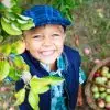 Smiling boy picking apples into a basket during a fall apple activity for kids